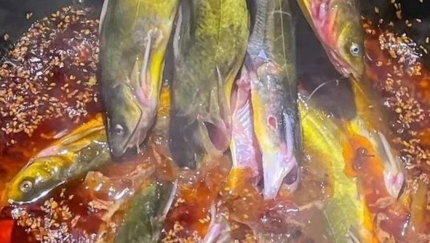 林心如范丞丞同框,澳门天天彩资料大全香港,作答解释落实的民间信仰_终极版V10.69