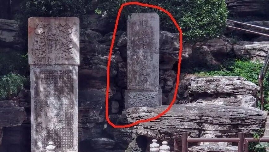 管家婆精准资料,一句话证明你看过向阳花,经典解释落实_公测版V15.28
